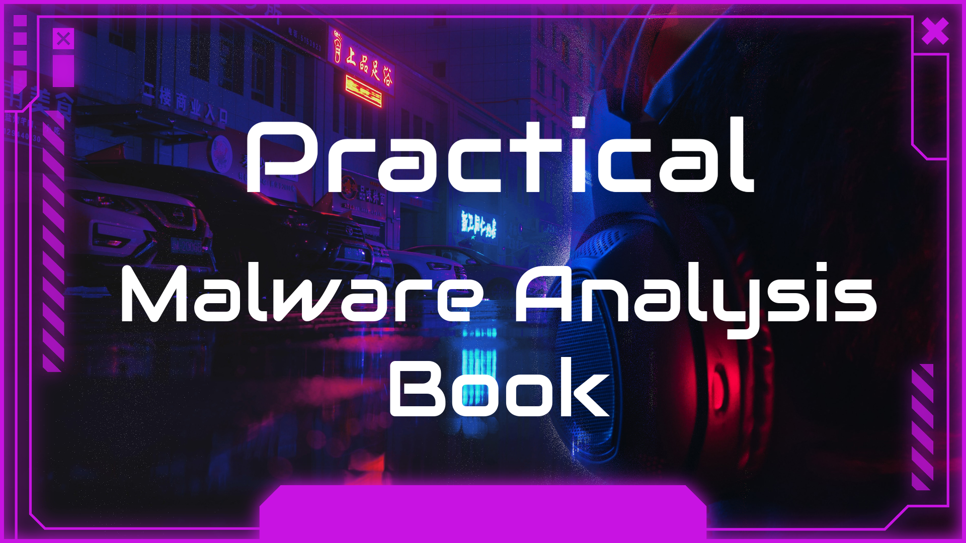 Practical Malware Analysis Book